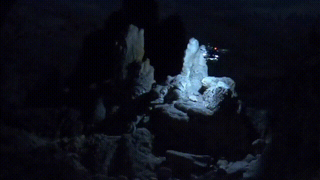 Autonomous Cave Surveying